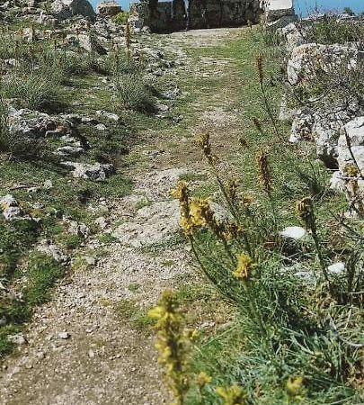 N2 Daire Pula Dış mekan fotoğraf